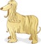 Afghan hound dog