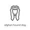 Afghan Hound dog icon. Trendy modern flat linear vector Afghan H