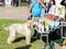 An Afghan hound stands with its owner outside a mobile dog food store during a dog festival competition in Ako city in northern