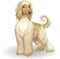 Afghan hound vector illustration cheerful purebred dog