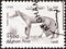 AFGHANISTAN - CIRCA 1998: A stamp printed in Afghanistan from the `Wildlife` issue shows a Red fox Vulpes vulpes, circa 1998.