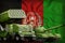 Afghanistan heavy military armored vehicles concept on the national flag background. 3d Illustration