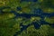 Africa aerial landscape, green river, Okavango delta in Botswana. Lakes and rivers, view from airplane. Forest. vegetation in