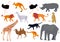 Africa animal decorative set colorful isolated vector illustration