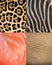 Africa animal pattern texture skin,fur & feathers