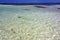 africa coastline froth foam lagoon relax zanzibar