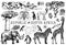 Africa doodle vintage set. Wild animals in safari isolated on white background. Giraffe and zebra, map and birds. Hand