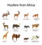 Africa hoofers animals vector illustration isolated on white background.