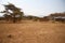 Africa houses in dry land