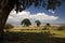 Africa landscape 016 ngorongoro