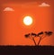 Africa landscape