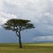 Africa landscape, Serengeti National Park