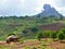 Africa, Mozambique, Naiopue. National African village.