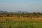 Africa- A Panorama of a Variety of Wildlife Grazing Together