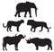 Africa`s Big Five Animals