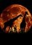 Africa, silhouette of two giraffes with big moon