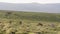 Africa Tanzania Ngorongoro crater
