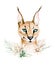 Africa watercolor savanna caracal animal illustration. African Safari wild cat cute animals face portrait character