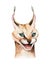 Africa watercolor savanna caracal animal illustration. African Safari wild cat cute animals face portrait character