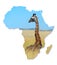 Africa Wildlife Map Design