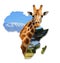 Africa Wildlife Map Design