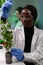 African american biologist researcher measuring sapling using ruler