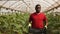 African-american farmer carrying plastic box full of cucumbers in greenhouse