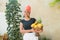 African-American farmer holding a fruit basket. The standing planter with a basket full of fruit