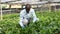 African-American farmer working in greenhouse