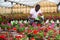 African american florist arranging potted Catharanthus roseus