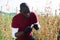 African american gardener checking beans ripening