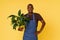 African American gardener holding a home flower on a yellow background. A concept for product placement and advertising.