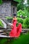 African American girl in red dress posing in Park in full growth