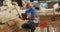 African american male carpenter with digital tablet choosing wooden plank in a carpentry shop