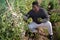 African american male gardener harvests peas