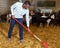 African-American man cleaning goat barn