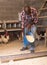 African american man farmer taking care chickens at chicken-house