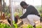 African american man feeds chickens in a chicken coop