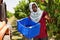 African American man harvesting ripe peaches at sunny fruit farm