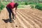 African american man professional horticulturist with garden shovel