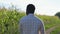 African American man walks past corn field at back sunlight