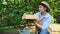 African American pretty woman inspects sprouted seedlings growing in cassette in wooden crate while working in eco farm