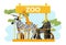 African animal zoo place poster herbivore zebra, giraffe and gorilla, zoological garden flat vector illustration