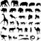 African animals