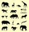 African Animals