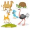 African animals cartoon set. Gazzelle anthelope, crocodile, bactrian camel, big african turtle, parrot and ostrich. Zoo wildlife c