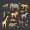 African animals cartoon vector set. elephant, rhino, giraffe, cheetah, zebra, hyena, lion, hippo, crocodile, gorila and