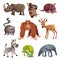 African Animals with Rhinoceros and Sloth Vector Set