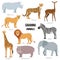 African animals of savanna elephant, rhino, giraffe, cheetah, zebra, lion, hippo . Vector illustration