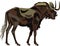 African Animals series black wildebeest